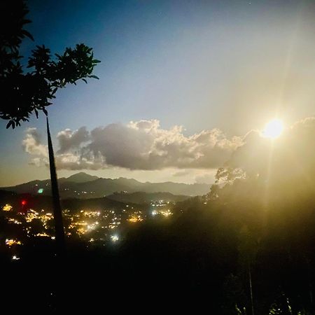 Serene Homestay เอลลา ภายนอก รูปภาพ