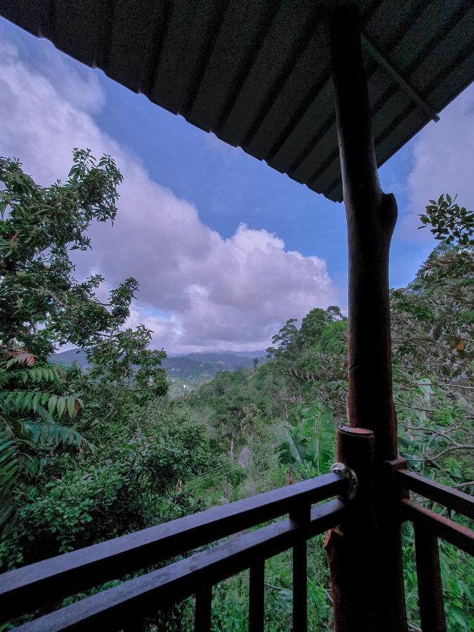 Serene Homestay เอลลา ภายนอก รูปภาพ