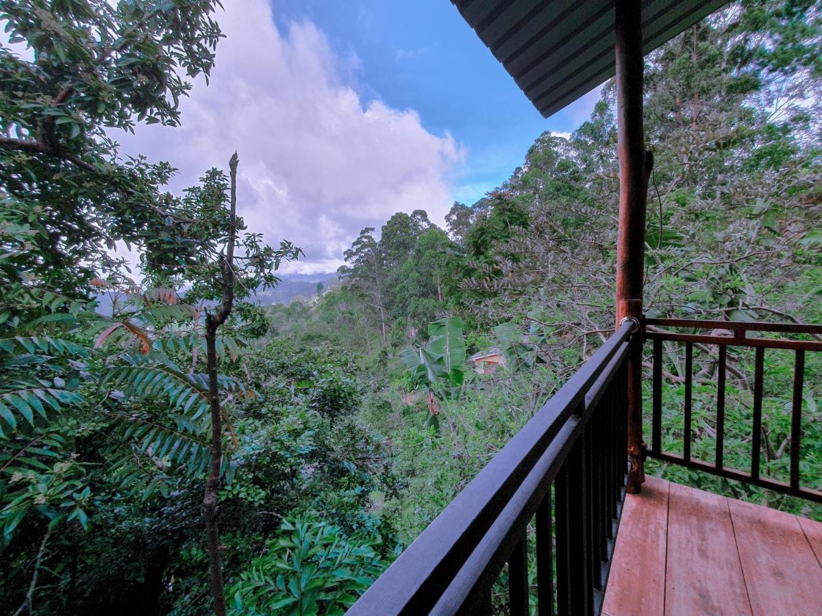Serene Homestay เอลลา ภายนอก รูปภาพ