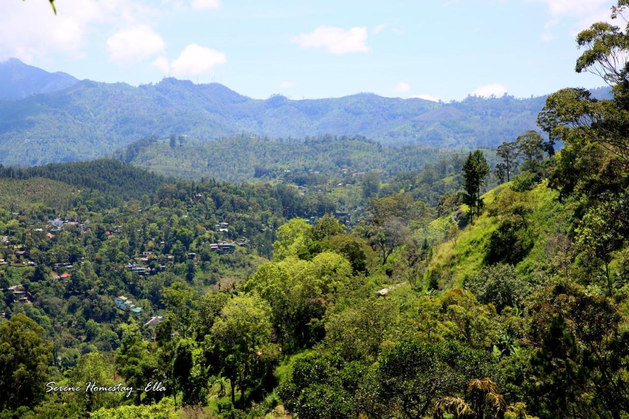 Serene Homestay เอลลา ภายนอก รูปภาพ