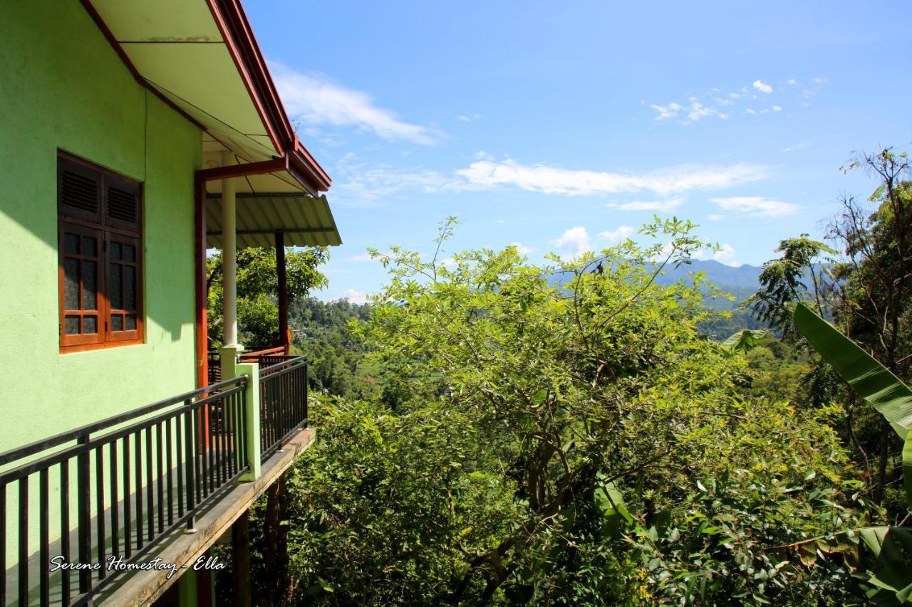Serene Homestay เอลลา ภายนอก รูปภาพ