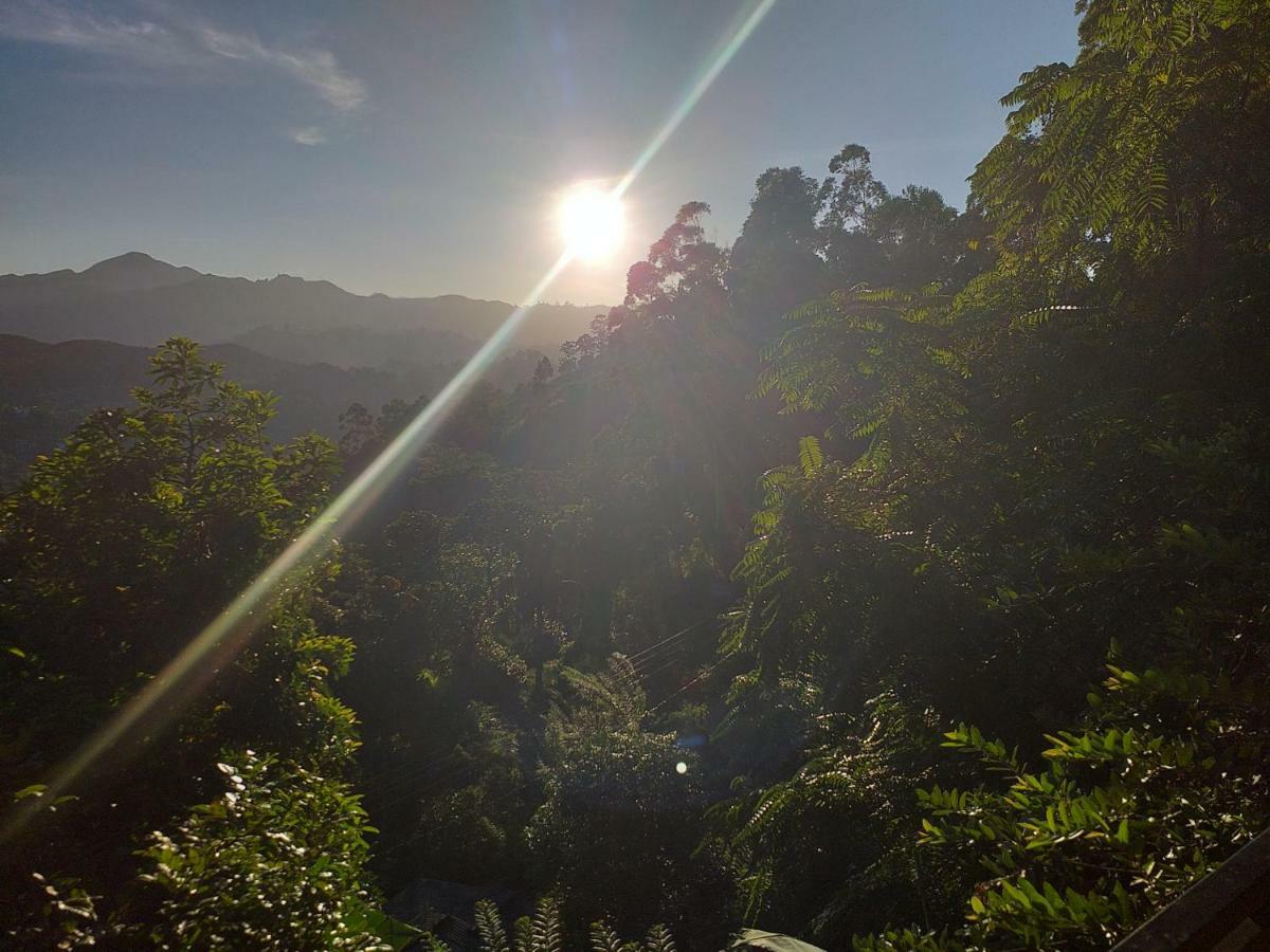 Serene Homestay เอลลา ภายนอก รูปภาพ